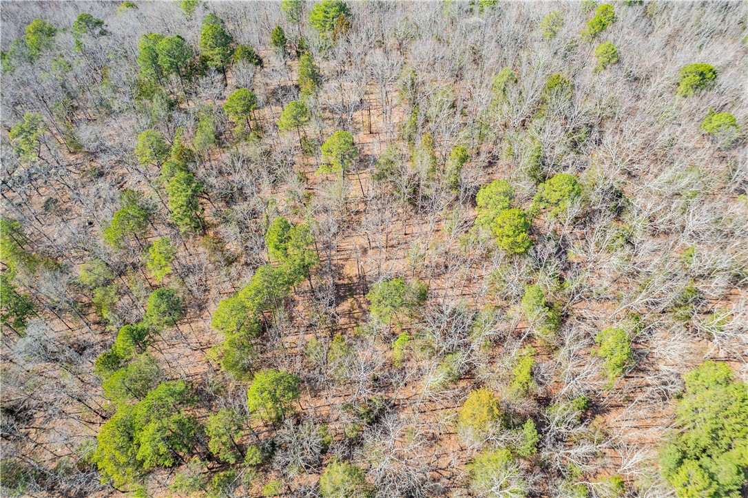 Citadel Bluff - Land