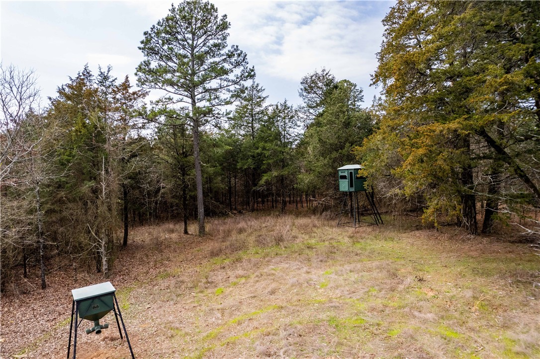 Citadel Bluff - Land