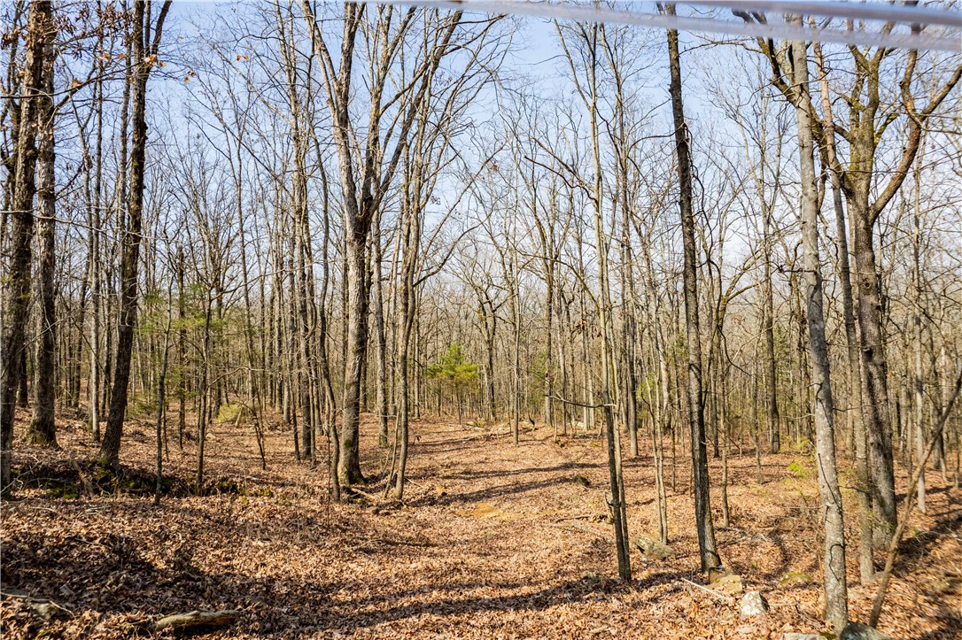 Citadel Bluff - Land