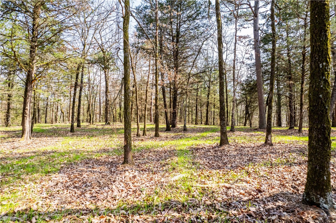 Citadel Bluff - Land
