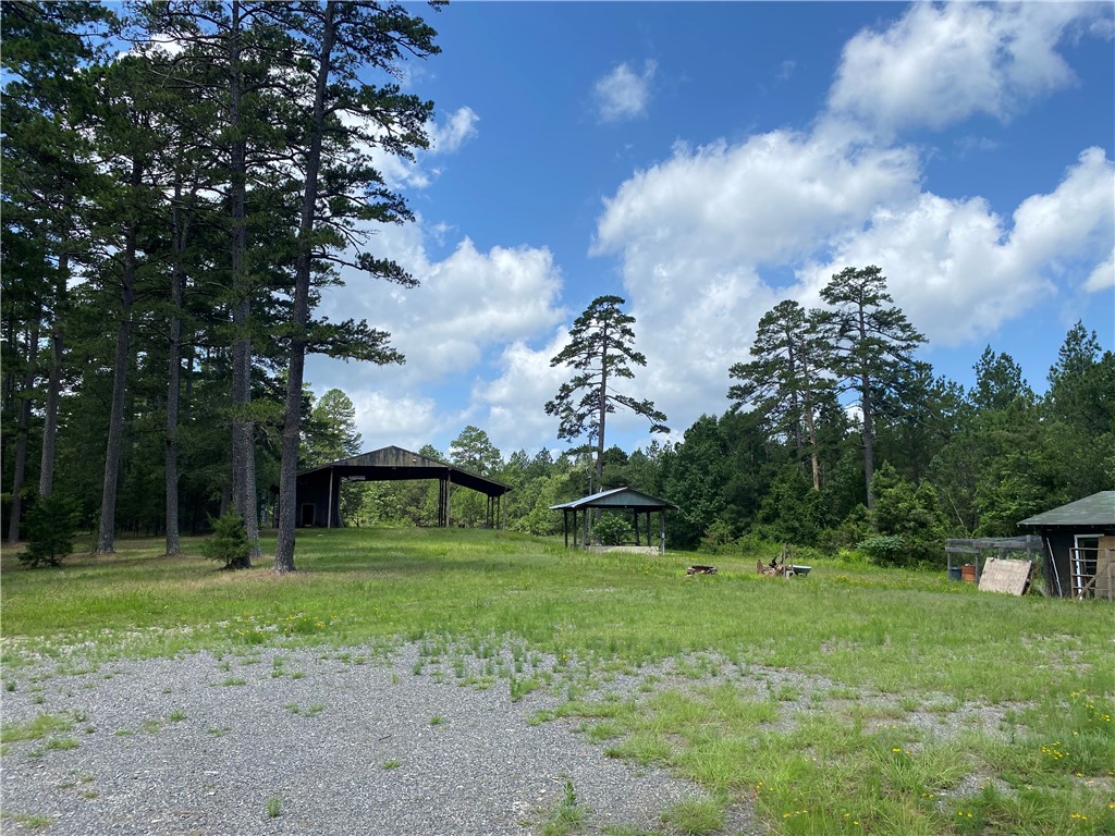 Discover peace, privacy, and natural beauty in this charming 3-bedroom, 2-bath home nestled among the serene expanse of Deltic Timber land. Set on a quiet stretch of Highway 27 just south of Plainview, this property offers breathtaking views in every direction ā rolling hills, mature hardwoods, and wide-open skies.
Inside, the home features a spacious open floor plan, a well-appointed kitchen, and a cozy living area perfect for relaxing or entertaining. Large windows throughout bring the outdoors in, showcasing the surrounding timberland and providing stunning seasonal vistas. The primary suite includes an en-suite bath and generous closet space, while two additional bedrooms offer comfort for family or guests.
Enjoy your morning coffee or evening sunset from the front porch, where the only neighbors are wildlife and whispering pines. Whether you're looking for a private residence, weekend retreat, or hunterās hideaway, this unique property offers the perfect blend of seclusion and accessibility