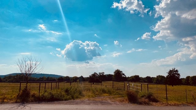 Prairie Grove Outlots - Land