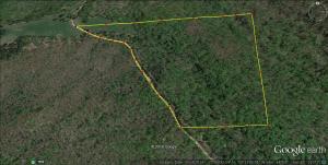 Looking for that spot to get away to in Newton County that has a view and water, phone, and electric on the property? This property has multiple building sites, large timber, spring, wildlife, and very easy access. Property has been surveyed and contains 38.2 acres.