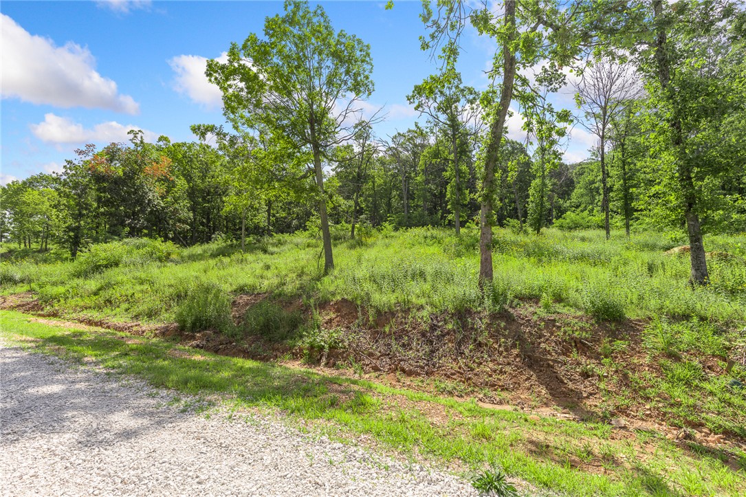 Round Mountain Estates - Land