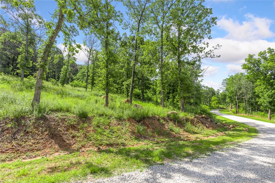 The groundwork is already done for you!  This lot comes fully equipped with underground utilities already in place, including natural gas, fiber optic internet, electric, public water, and sewer. No waiting, no guesswork, no costly setup—just a smooth, ready-to-build opportunity from day one. RME is the newest subdivision in Harrison, AR. If you’ve been dreaming of trading city lights for star-filled skies, RME delivers. Beyond your homesite, you’ll have access to a 350 acre common area reserved for residents, featuring a stocked fishing pond, Kissing Rock Trail, natural springs, Baby Canyon Trail, striking bluff lines and views that stretch for miles.  *Terrapin Creek Rd will be paved in the future, per county officials.