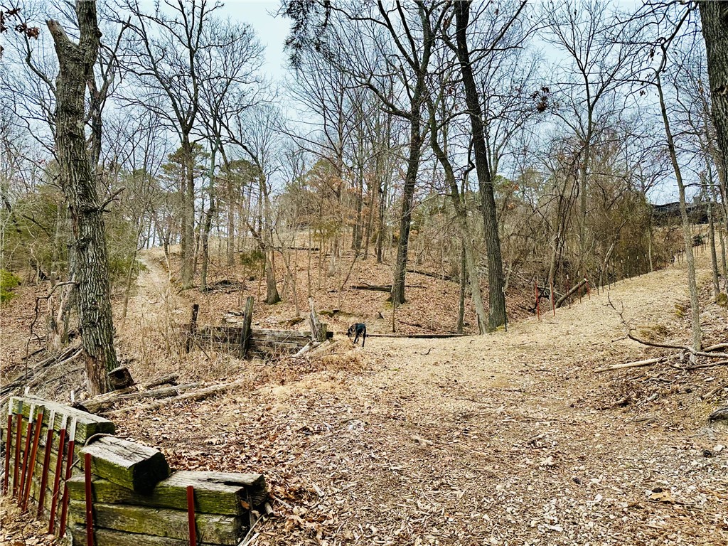 Runnymede - Residential