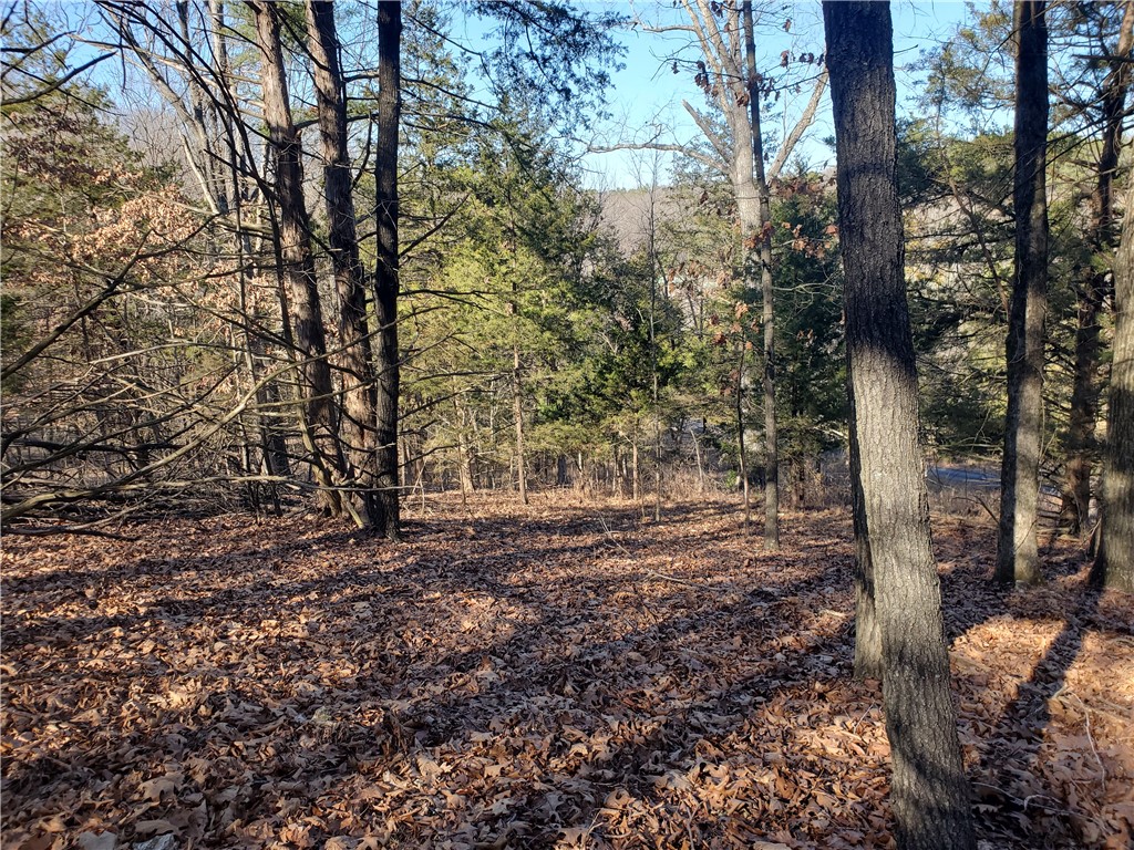 Wonderful lakeview property on Beaver Lake's north shore, a few hundred feet from Beaver Lake with beautiful scenic views. Build your dream home on this 5-acre parcel that is private, peaceful & secluded with lots of hardwood trees on it. The lot fronts Wedgewood Dr. a paved road, also accessible via Bay Ridge Ln. on the West boundary. public boat launch is about 1.2 miles down the road, only 30 minutes from Bentonville/Rogers that has an abundance of shopping & dining options. This property includes one of the BOAT SLIPS in the covered, well maintained, community dock, in a protected cove. The slip is 10'x25' & includes power & Hydro-Hoist boat lift. The dock includes power, a large sundeck & swim platform. There is a private dock area parking owned by the neighborhood just above the Corps line, it offers an easy, level walk to access the dock. Come build your dream home here & enjoy Beaver Lake all year long, this is an increasingly rare opportunity with accelerating scarcity of buildable lots w/boat slips.
