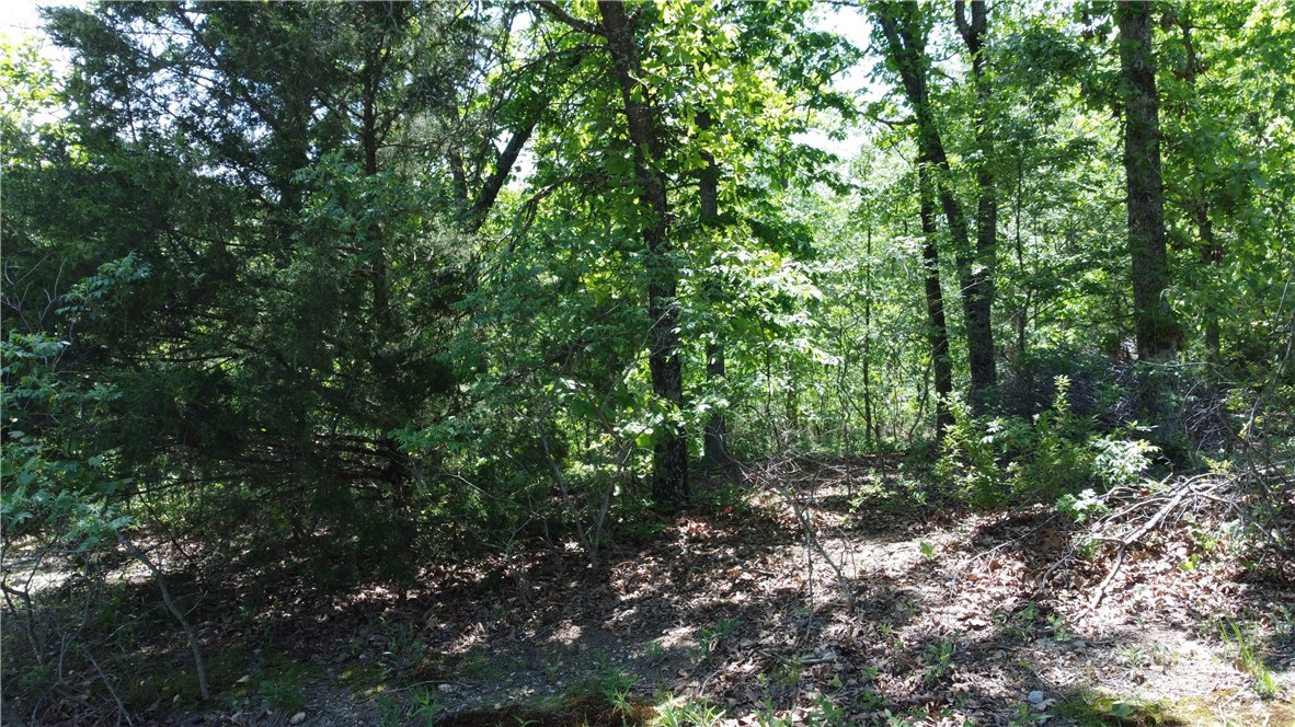 Smaller lot will accommodate a two bedroom home with good per test. Gentle slope and good for building. Come enjoy Bella Vista and all of its beautiful amenities. Only five minutes to Branchwood Rec center and only five minutes to Highlands Golf.