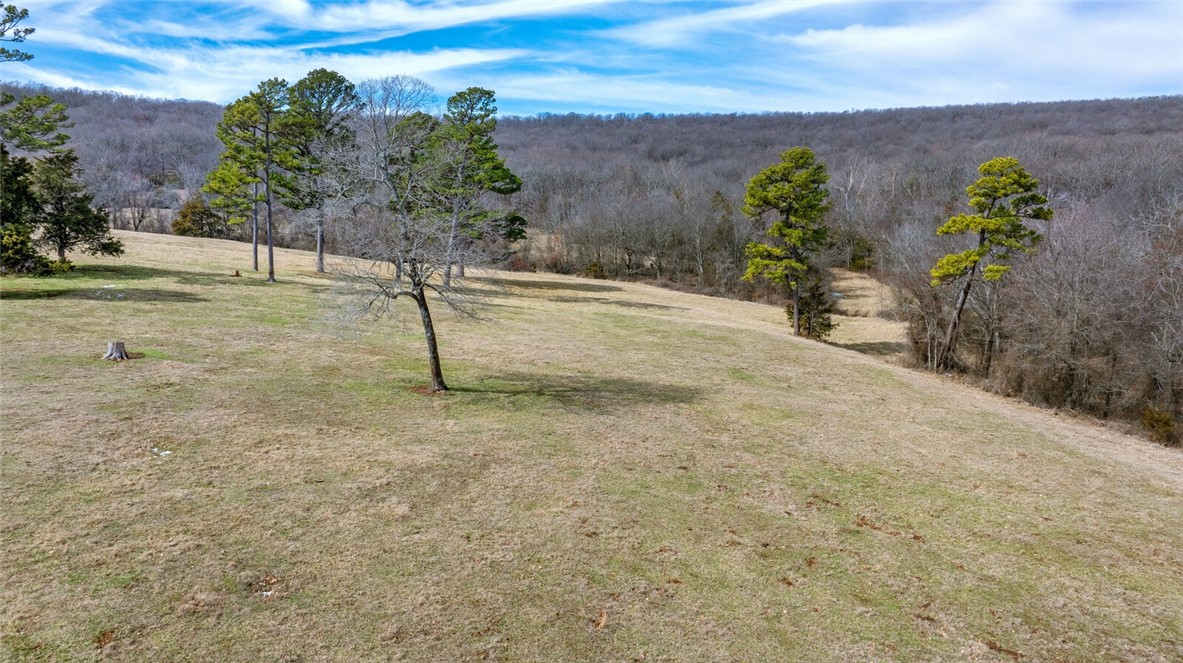 Beautiful 8.86 acres with rural water at the road that needs to be verified by the buyer. No mobiles or chicken houses allowed. There is more land available for purchase. Taxes are estimated. Property will have its own parcel number on survey. Barn on south side, back in the woods does not convey and will be removed. Please be sure to shut all gates due to livestock on site. Combo box on gap gate to be able to access the 8.86 acres.