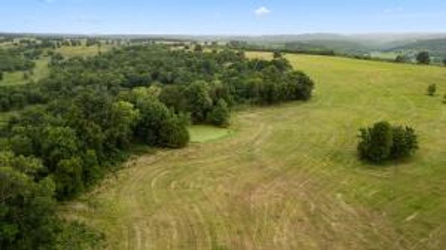 Exquisite 212-acre farm situated on Cedar Grove Road with ample street access. Revel in the beauty of nearly a mile of Sugar Loaf Creek frontage, expansive manicured pastures, and partial metal fencing lining the road. This property boasts mature timber, multiple ponds, fruit trees, and a picturesque lake view of Bull Shoals Lake. Additionally, an artesian well is conveniently located nearby, with trails meandering throughout the land. Electricity is available at the roadside, adding convenience to this already remarkable property. Perfect for hunting, creek fishing, farming, and outdoor enthusiasts alike. Minutes from the Bull Shoals Lake and Diamond city boat dock. Don't hesitate to reach out to us today to learn more!