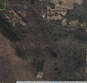 No legal access. Secluded- 10 acres m/l, located in Searcy County, AR - Between Snowball, Ar & Eula, Ar - Close to the Buffalo National River Park Service - Gene Rush Buffalo Wildlife Management area. Also see MLS # 140952 & 140953