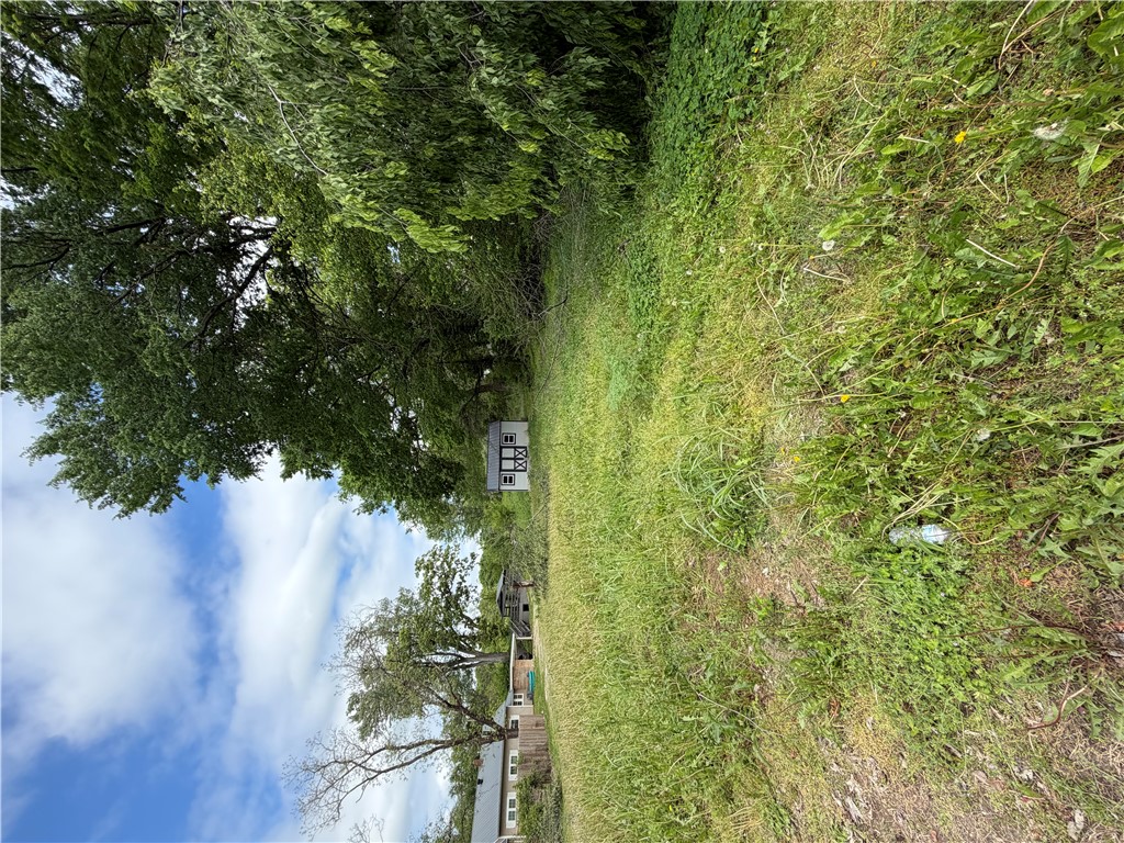 Decatur/ ORIG-Decatur - Land