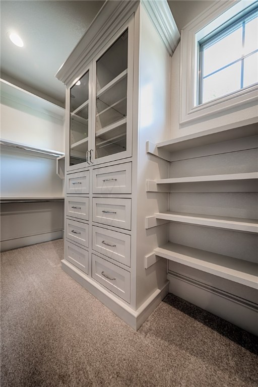 Oak Tree - Residential