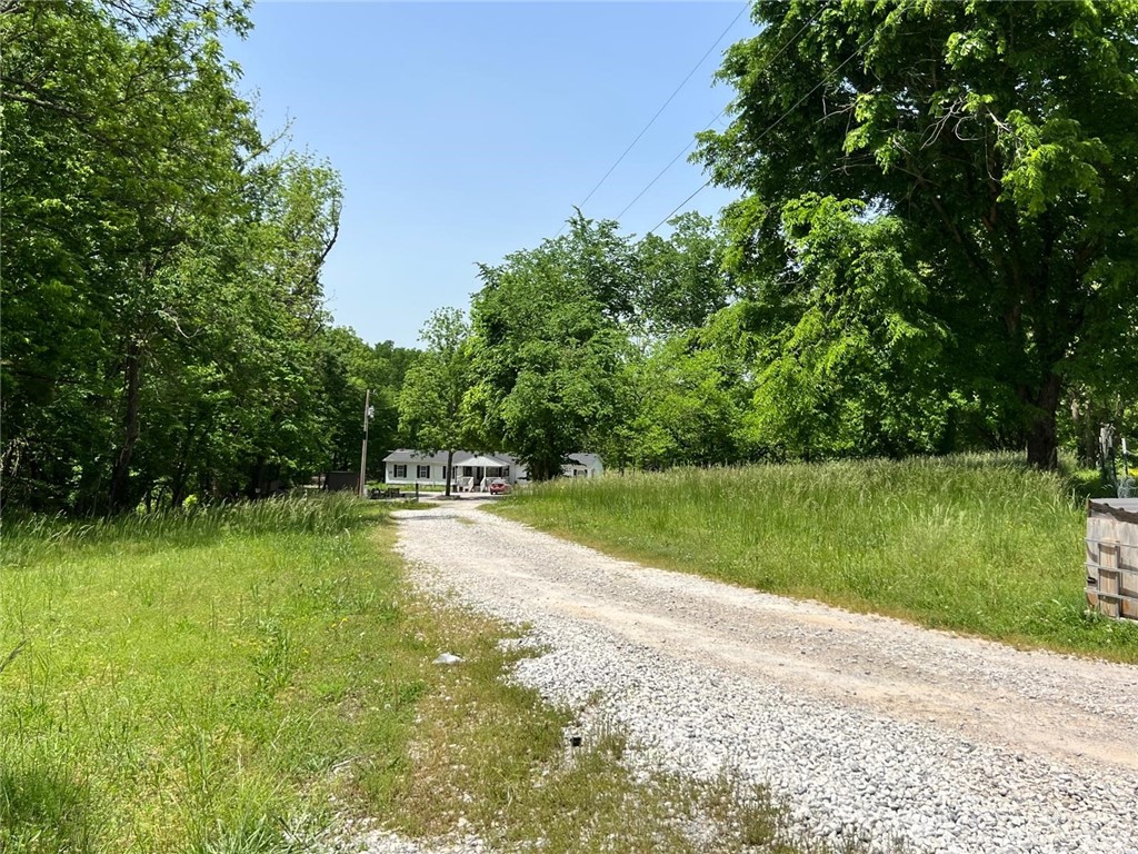 None - Residential Lease
