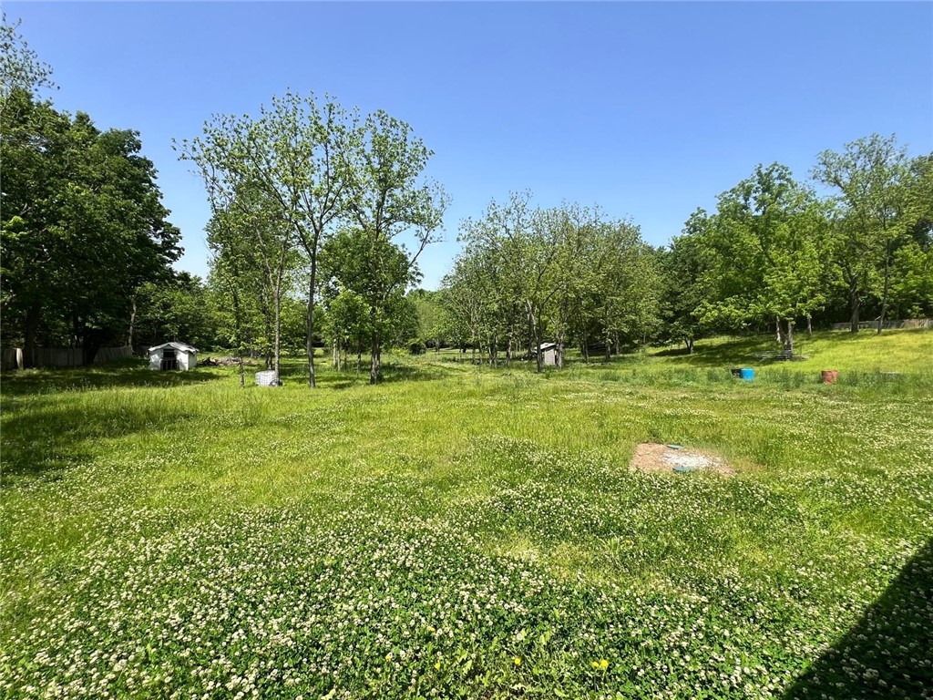 None - Residential Lease