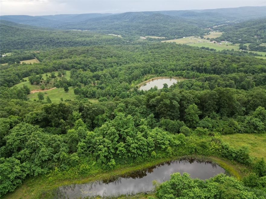600 acres m/l of incredible views and beauty. Live water/springs and White River frontage. Bear, deer, turkey and fish. This place has all you need for ozark paradise with roads and trails across and around the entire property. Small primitive cabin included.  30-40% open with the balance in young to mid age timber. Large 3 acres ponds with several additional smaller ones. Secluded but not to far out of town. Fishing hunting and your own kayak launch/pickup. 3 large barns with a smaller shop. Electricity on site.