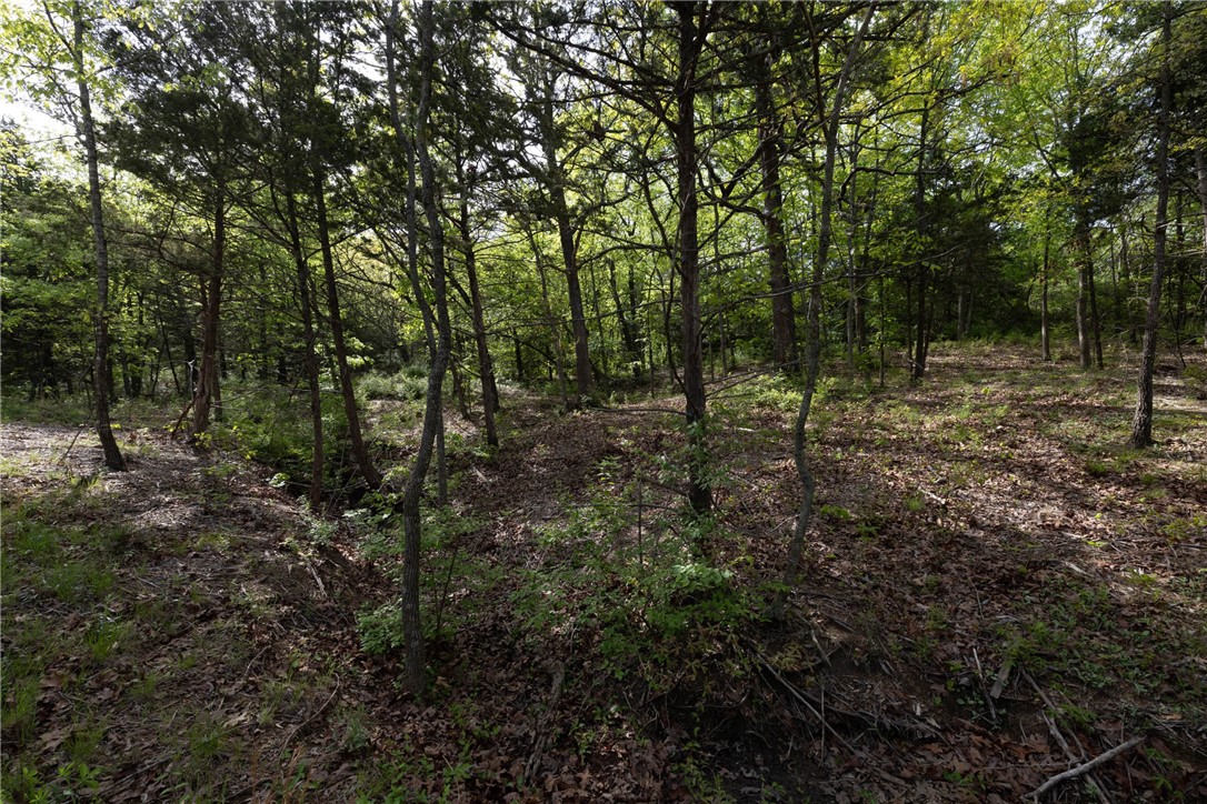 Farmington Outlots - Land