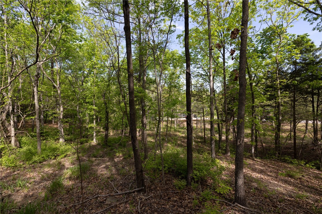 Farmington Outlots - Land