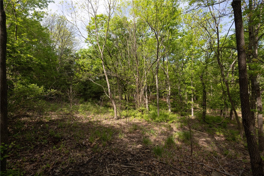 Farmington Outlots - Land
