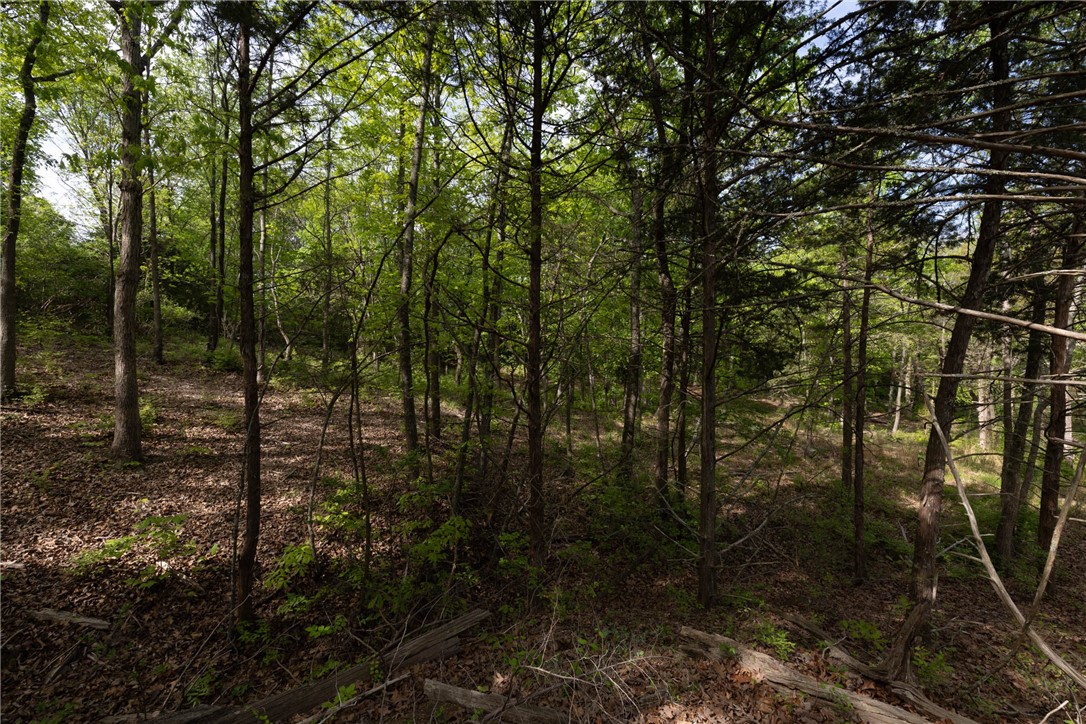 Farmington Outlots - Land