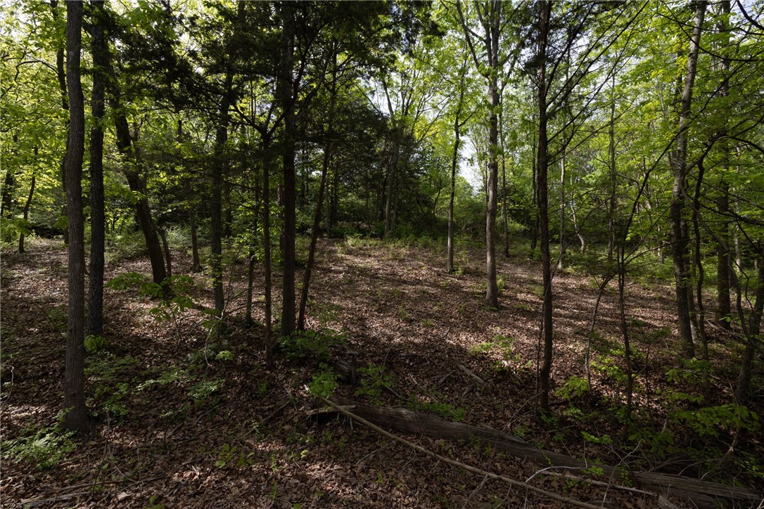 Farmington Outlots - Land