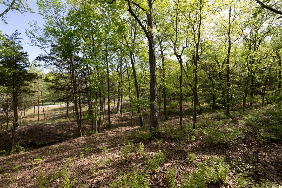 Farmington Outlots - Land