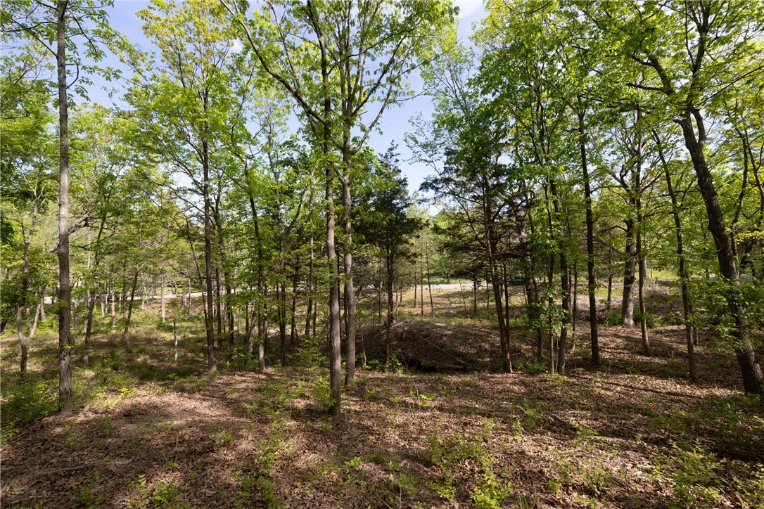 Farmington Outlots - Land