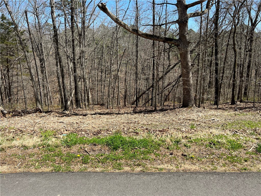 Come see this lot in Bella Vista, a great place for your future home. Right off Lancashire Blvd this location is easy for access from Bella Vista Way. Water at the street.