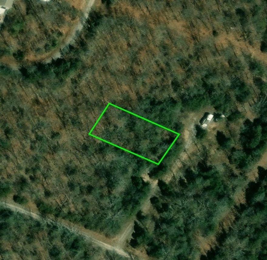 This flat and wooded .31 (+/-) acre lot is ready for you to build your new home. This area is quiet, and only minutes away from 3 lakes and local amenities. Property conveys with a Regular Warranty Deed.