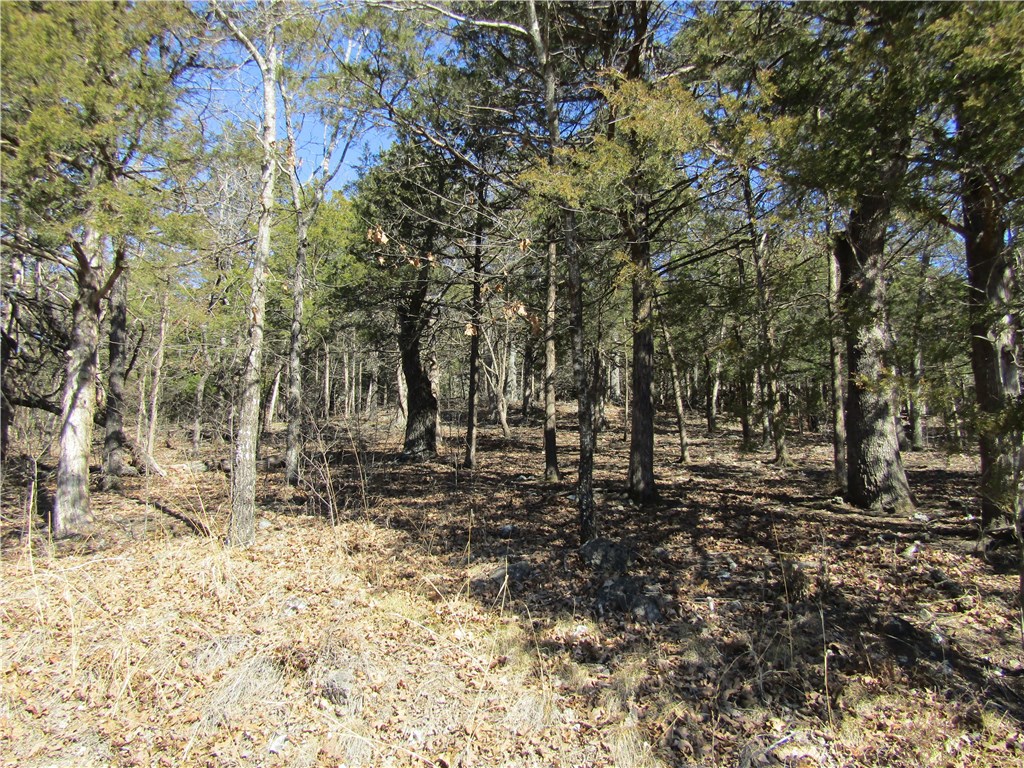 Boat Slip included with this nice buildable lot in Lost Bridge Village, across the street from Beaver Lake. One slip in Community Dock with deeded walking easement. Slip is Approx. 8x20. Lost Bridge Amenities include pool, tennis courts, club house, rec center, library and more.