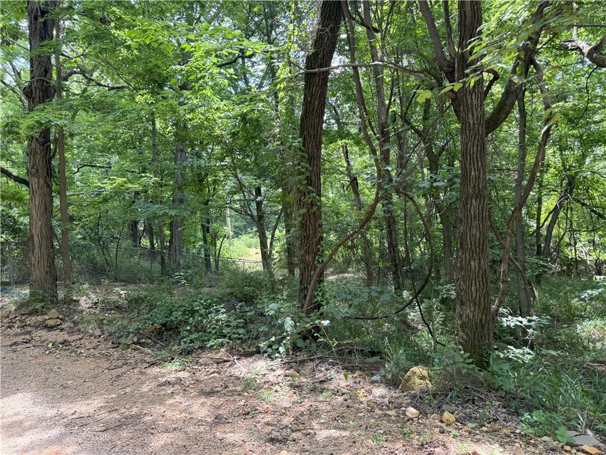 Located just east of Parthenon in scenic Newton County, this 3.42-acre property offers an excellent start for your new build or getaway. This tract features an existing water well, a power pole already set, rural water access at the road, and an existing septic system. A former homesite remains from a structure that previously stood on the property. Across Gum Springs Road, an additional 1.45-acre tract on the north side is also available and for sale in a seperate tract. The property has been recently surveyed, offering peace of mind for future development.