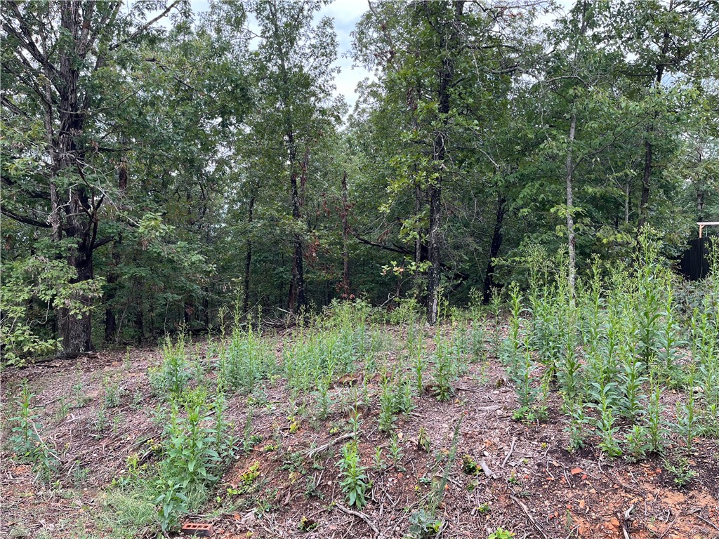 Sussex Sub Bvv - Land