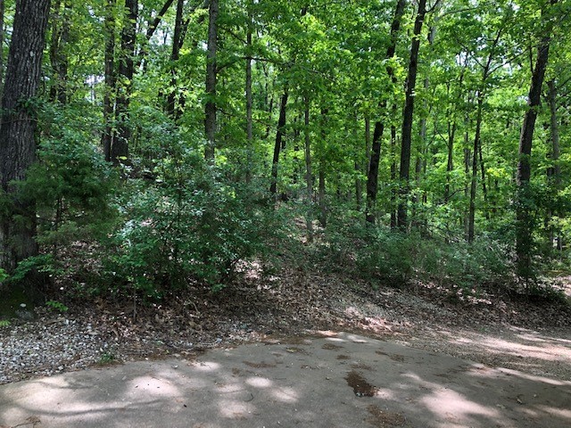 Partial lakeview lot on .86 tree covered acres, convenient to boat ramp at the highway 12 bridge and close to Prairie Creek and downtown Rogers