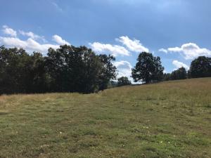 Home & 70 Acres of pasture for cattle and wooded land for hunting. A beautiful piece of property with rolling hills, pond, corral, fencing and cross fenced. concrete automatic water troughs. The home secluded in the woods was built in 2016. It features a living, kitchen & dining open floor plan, 4 bedrooms, 2 full baths, large utility room, laminate wood floors, wood burning stove in living room, central H&A, wood deck on the back of the house, storage building & chicken coop. This is your opportunity to own a beautiful piece of the Ozarks!