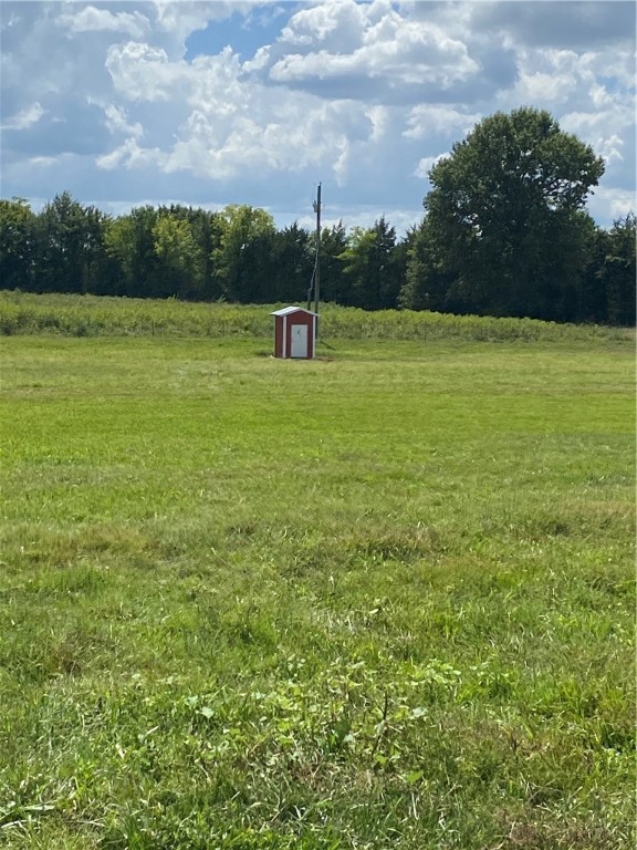 Chickens and country - Farm