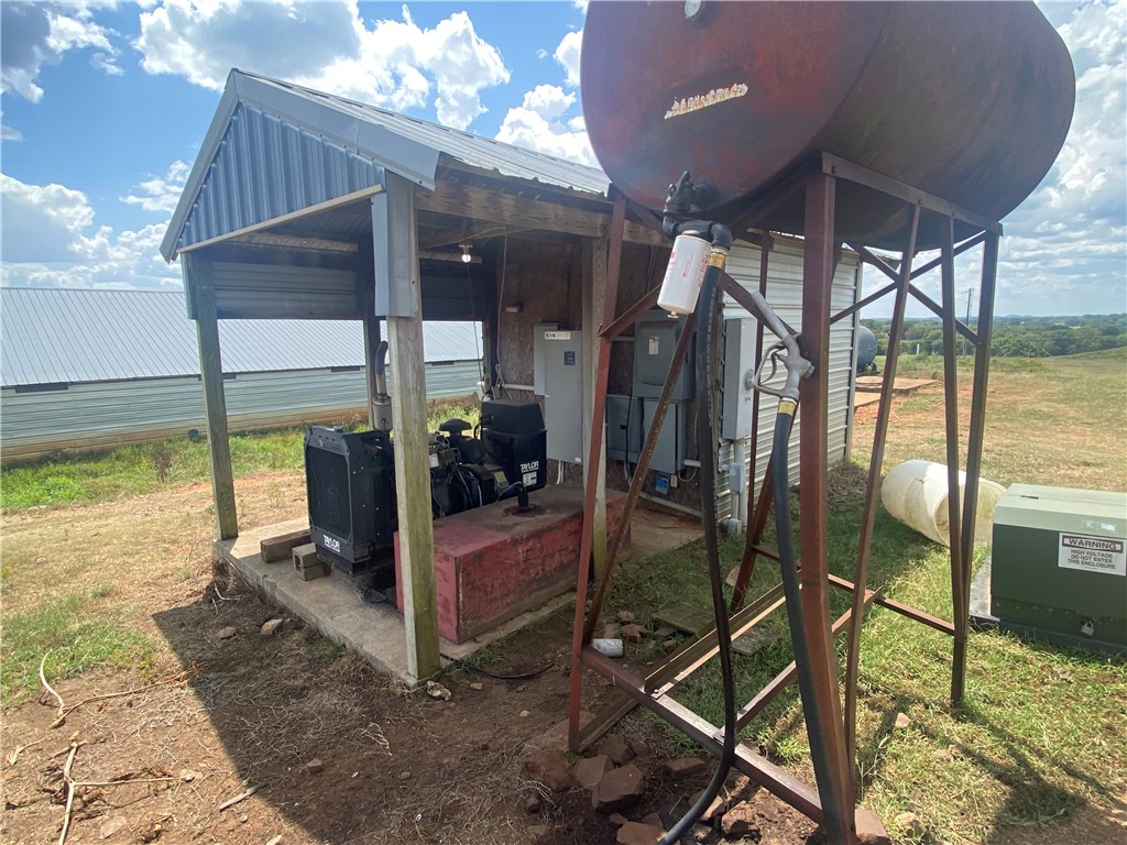 Chickens and country - Farm