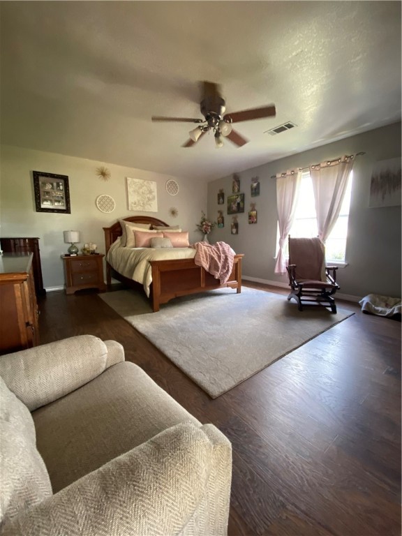 Chickens and country - Farm