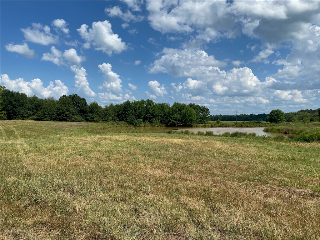 Chickens and country - Farm