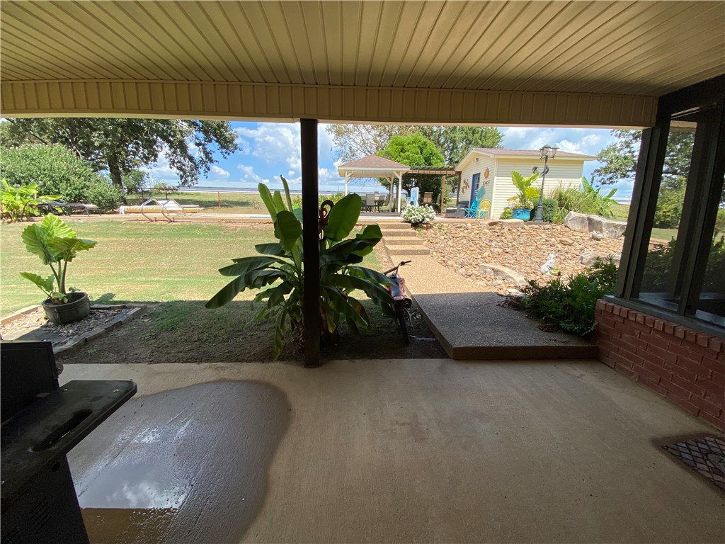 Chickens and country - Farm