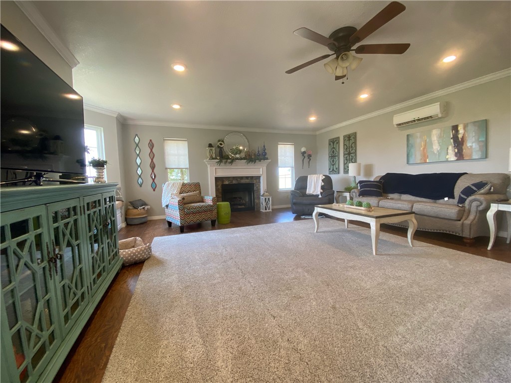 Chickens and country - Farm