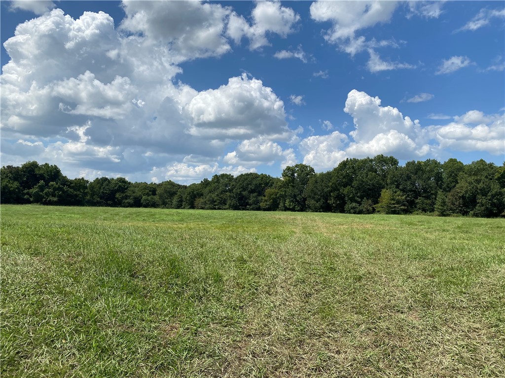 Chickens and country - Farm