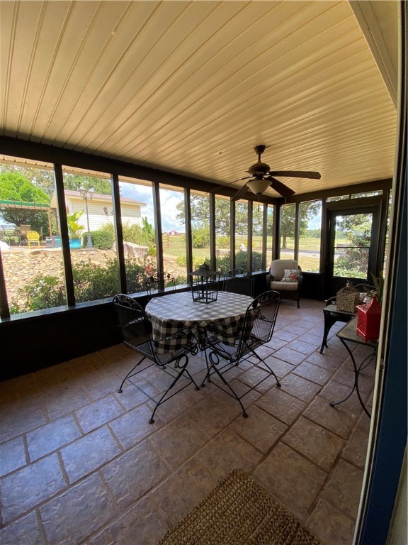 Chickens and country - Farm