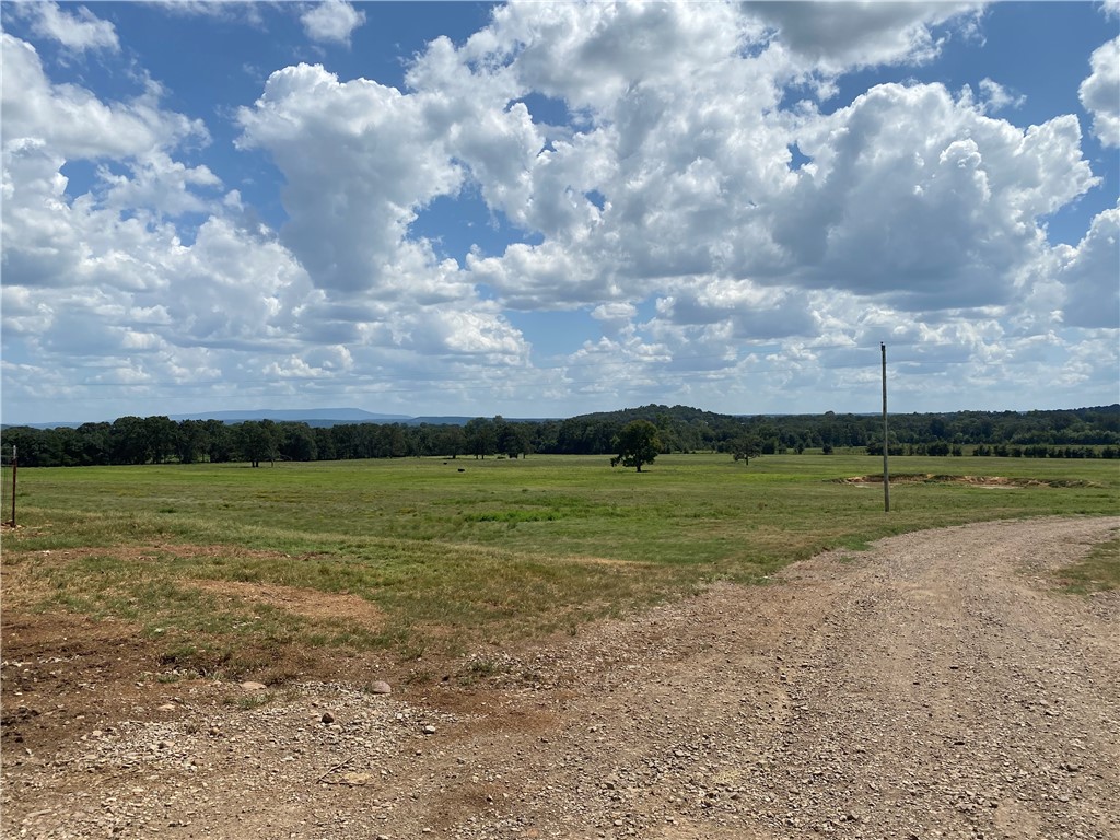 Chickens and country - Farm