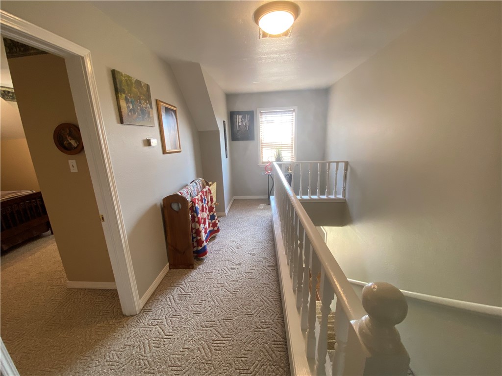 Chickens and country - Farm