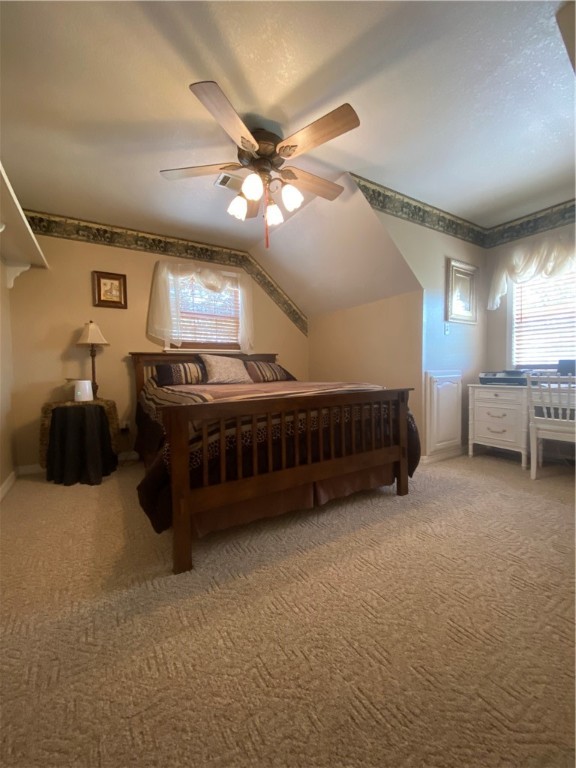 Chickens and country - Farm