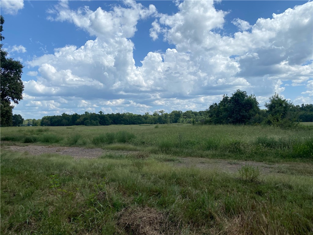 Chickens and country - Farm