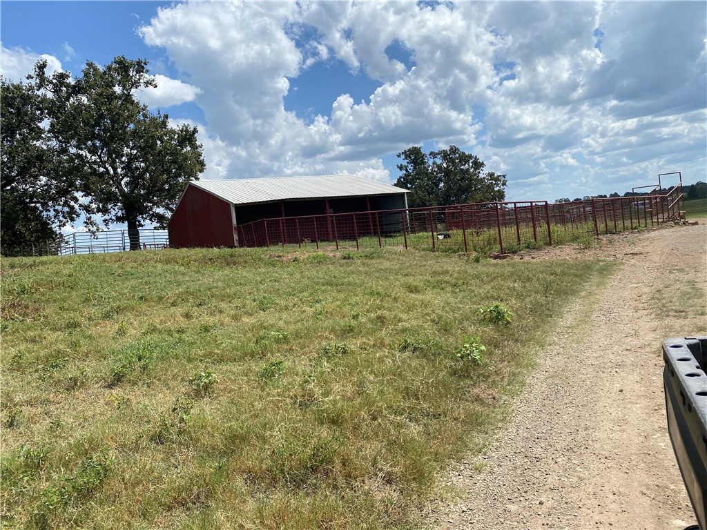 Chickens and country - Farm