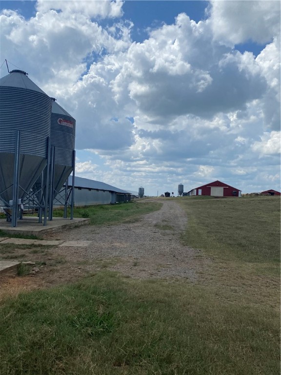 Chickens and country - Farm