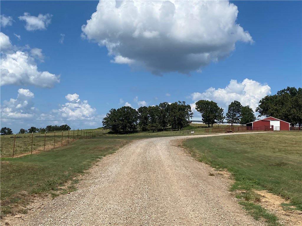 Chickens and country - Farm