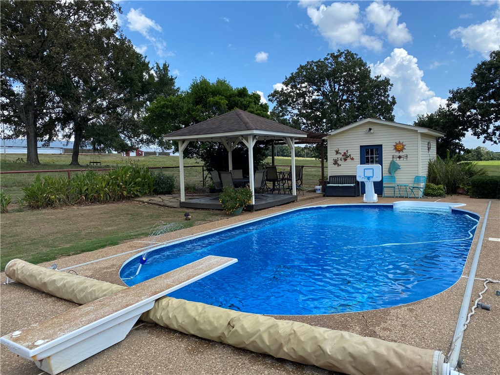 Chickens and country - Farm